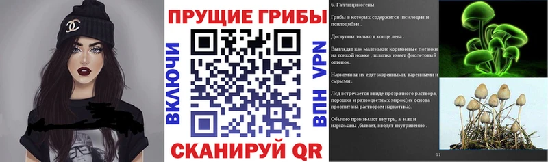 Псилоцибиновые грибы MAGIC MUSHROOMS  Купить закладки  Дмитров 
